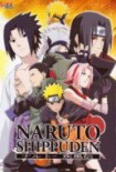 Watch Naruto Shippuden subbed